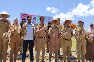 Dua Wilayah di Muna Barat Lakukan Panen Komoditas Bawang Merah