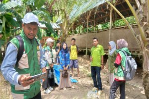 Pastikan Program Berjalan Efektif, Plt Kadis Peternakan Mubar Tinjau Kesuksesan Kelompok Ternak di Dua Kecamatan