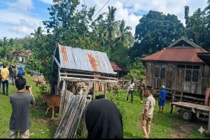 Sekda Muna Barat Pimpin Penertiban Hewan Ternak di Kecamatan Napano Kusambi